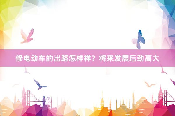 修电动车的出路怎样样？将来发展后劲高大